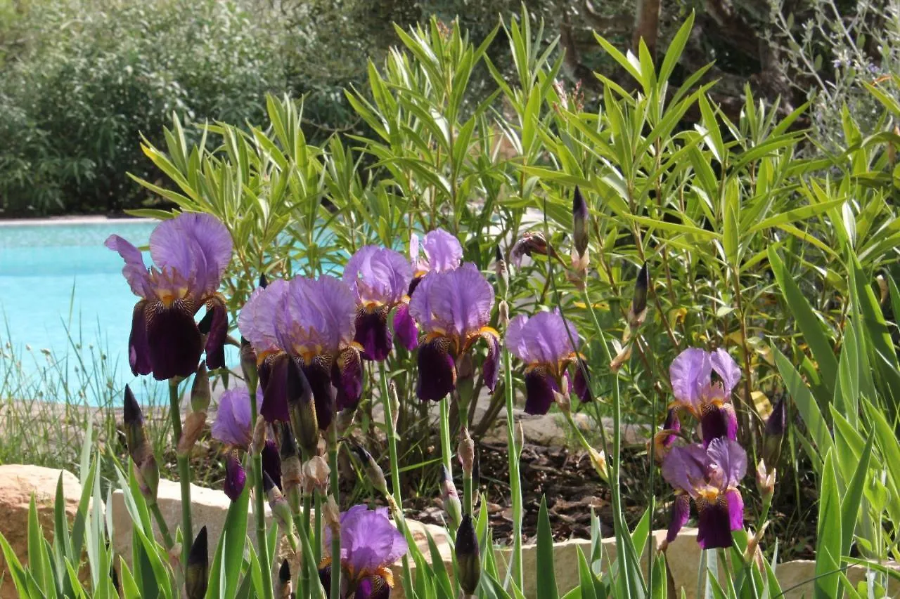 Le Baou Hotel Sillans-la Cascade Guest house