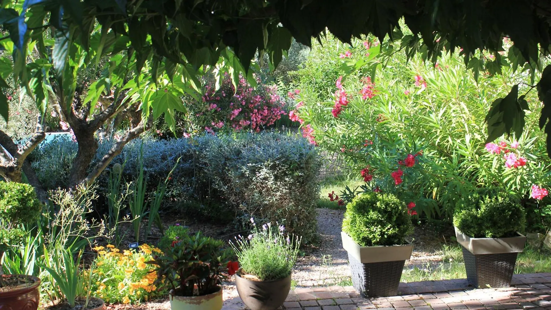 Guest house Le Baou Hotel Sillans-la Cascade France